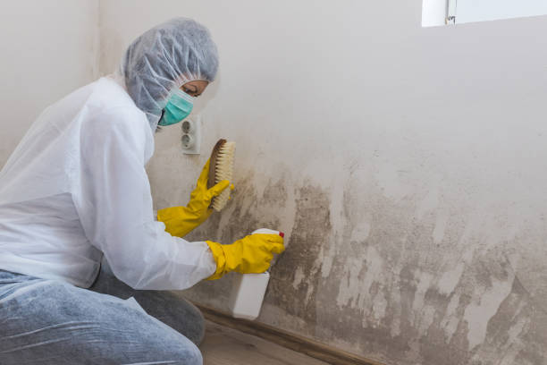 Forensic Mold Investigation in Tamarac, FL